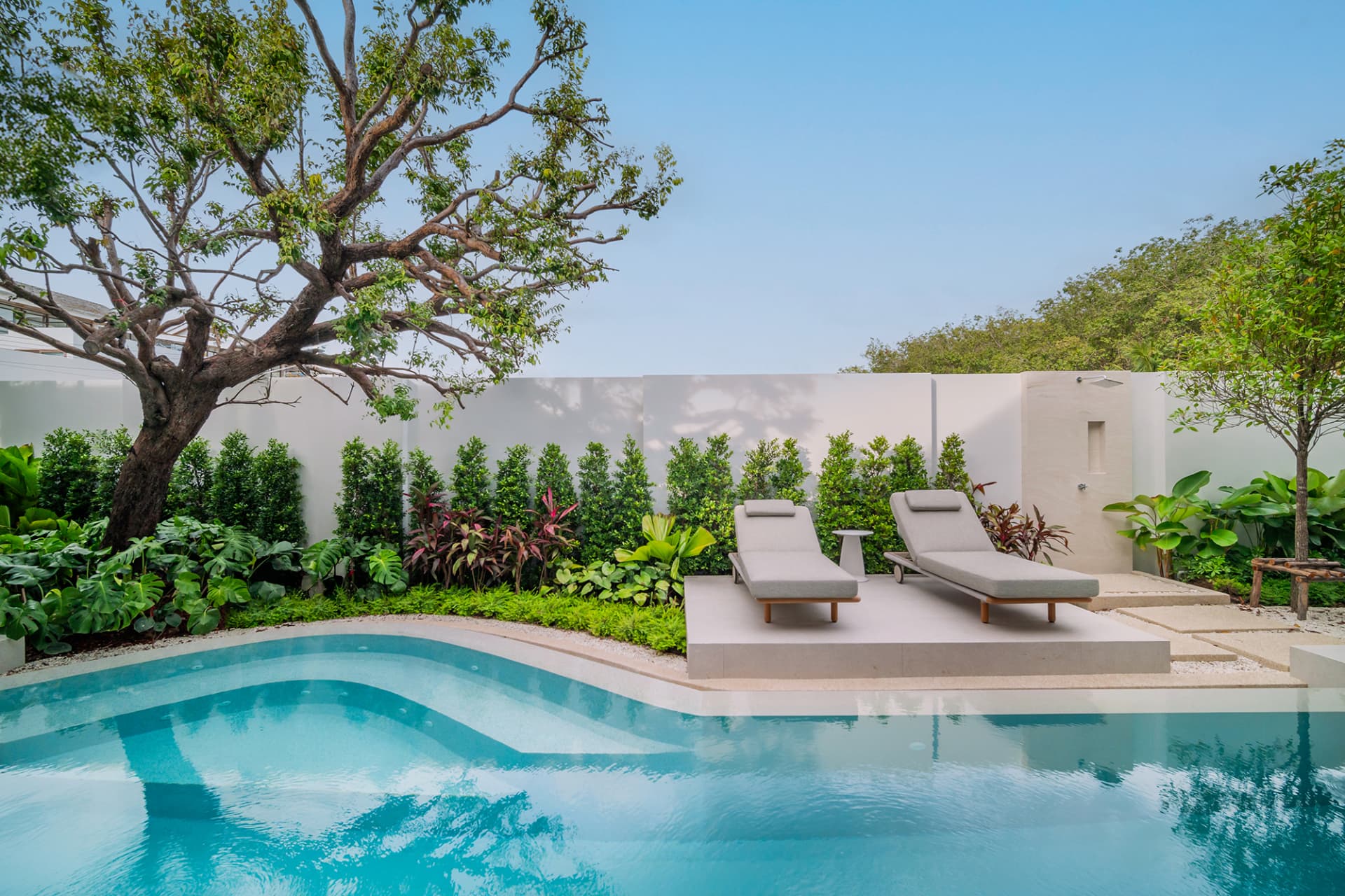 Botanica Louvre — curved pool garden with two sun loungers beneath a large tree